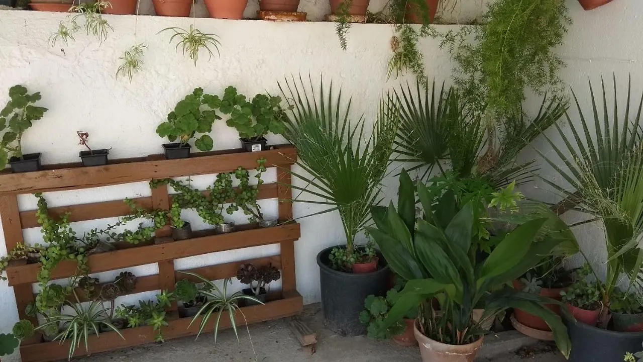 Casa Rural La Yedra Níjar カントリーハウス